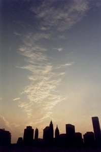 new york, picture 3: silhouette. click on the image to go to the next picture